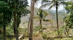Pengalaman Ziarah ke Makam Ki Gede Sebayu & Awal Mula Nama Tegal