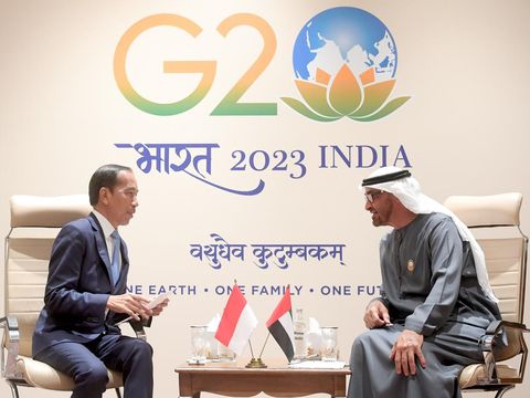 Jokowi dan MBZ