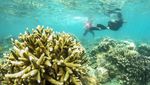 Wow! Jumlah Kunjungan Wisatawan ke Pulau Seribu Meningkat