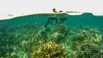 Wow! Jumlah Kunjungan Wisatawan ke Pulau Seribu Meningkat