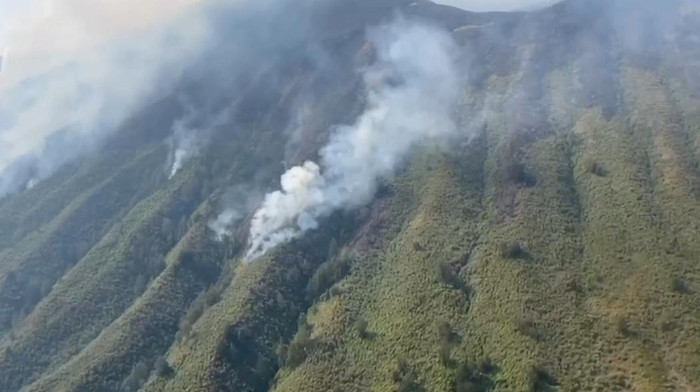 Kebakaran hutan di Gunung Bromo
