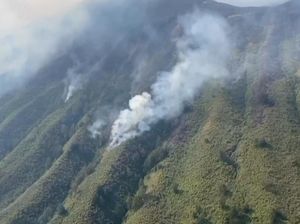 Sudah 5 Hari, Api Masih Berkobar di Bromo gegara Flare Prewedding