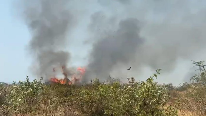 kebakaran lahan di pertamina jenu tuban