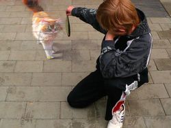 Aneka Gambar 3D di Jalanan, Bikin Mata Terkecoh