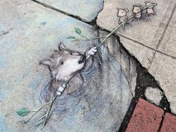 Aneka Gambar 3D di Jalanan, Bikin Mata Terkecoh