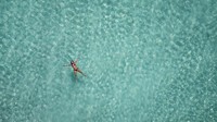 Tidak diragukan lagi bahwa Los Roques adalah taman laut terbesar di Laut Karibia dan sekaligus wilayah paling indah di Venezuela. 