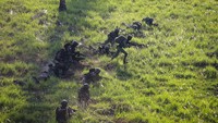 Latihan gabungan tersebut diikuti TNI, Singapura, Jepang, dan Amerika. ANTARA FOTO/Rizal Hanafi. 