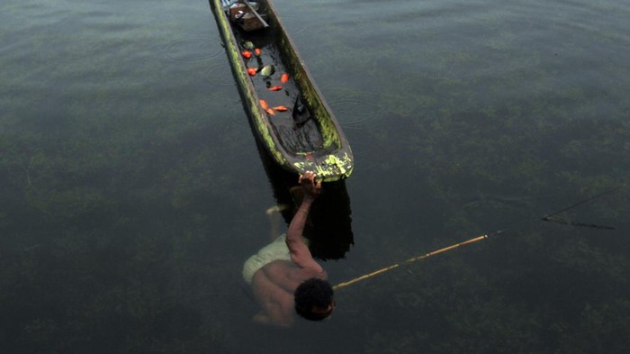 Menangkap ikan dengan alat tradisional di Danau Sentani Warga memperlihatkan hasil tangkapannya saat menangkap ikan dengan menggunakan tembak tradisional (senapan molo) di Kampung Abar, Jayapura, Papua, Sabtu (9/9/2023). Menangkap ikan menggunakan alat tersebut merupakan kebiasaan bagi masyarakat pesisir di kawasan Danau Sentani dan hasil tangkapannya hanya untuk dikonsumsi sendiri. ANTARA FOTO/Gusti Tanati/app/Spt.