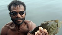 Warga memperlihatkan hasil tangkapannya saat menangkap ikan dengan menggunakan tembak tradisional (senapan molo) di Kampung Abar, Jayapura, Papua. 