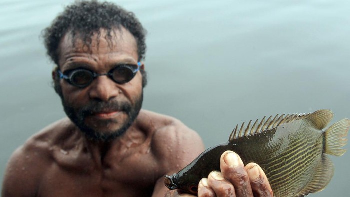 Menangkap ikan dengan alat tradisional di Danau Sentani Warga memperlihatkan hasil tangkapannya saat menangkap ikan dengan menggunakan tembak tradisional (senapan molo) di Kampung Abar, Jayapura, Papua, Sabtu (9/9/2023). Menangkap ikan menggunakan alat tersebut merupakan kebiasaan bagi masyarakat pesisir di kawasan Danau Sentani dan hasil tangkapannya hanya untuk dikonsumsi sendiri. ANTARA FOTO/Gusti Tanati/app/Spt.