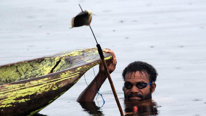 Menangkap ikan dengan alat tradisional di Danau Sentani Warga memperlihatkan hasil tangkapannya saat menangkap ikan dengan menggunakan tembak tradisional (senapan molo) di Kampung Abar, Jayapura, Papua, Sabtu (9/9/2023). Menangkap ikan menggunakan alat tersebut merupakan kebiasaan bagi masyarakat pesisir di kawasan Danau Sentani dan hasil tangkapannya hanya untuk dikonsumsi sendiri. ANTARA FOTO/Gusti Tanati/app/Spt.