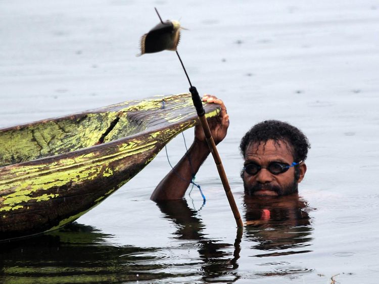 Aksi Warga Tangkap Ikan dengan Alat Tradisional di Danau Sentani