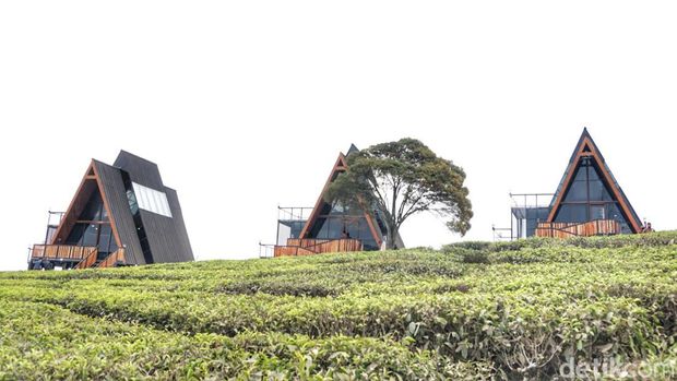 Nimo Tea Resort.