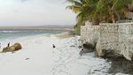 Potret Keindahan Pantai Kawona di Sumba Barat Daya