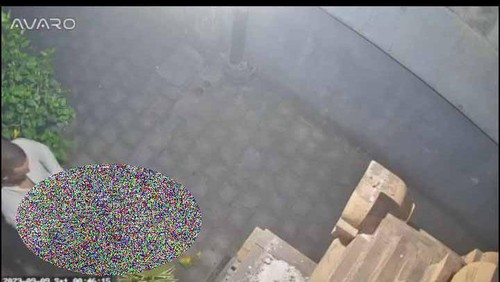 Tangkapan layar rekaman sejoli mesum di depan rumah warga di Kerobokan Kelod, Kuta Utara, Badung, Sabtu dini hari (9/9/2023). (Dok Ayu Purwita)