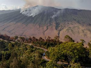Kebakaran Bromo Rugikan Bisnis Travel hingga 100 Persen