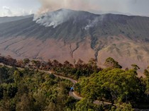 Kebakaran Bromo Rugikan Bisnis Travel hingga 100 Persen