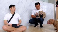 Rico Wenas mengungkapkan, dirinya beberapa tahun lalu memutuskan mengimpor indukan micro bully ke Indonesia, dan ternyata pasar di Indonesia sangat antusias, bahkan yang mau beli harus antre dulu karena stok yang terbatas.  