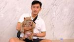 Bisnis Anjing Monster Bisa Raup Ratusan Juta Tiap Bulan