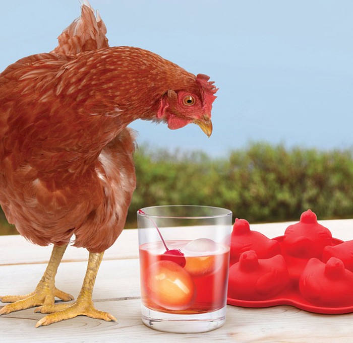 Es batu bentuk unik Unik! 10 Es Batu Ini Berbentuk Ikan hingga Gigi Manusia