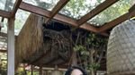 Serunya Hana Hanifah saat Nongkrong Cantik di Beach Club