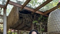 Hana Hanifah dikenal sebagai sosok yang hobi kulineran dan nongkrong cantik. Seperti pada momen ini, Hana menikmati jus favoritnya. Foto: Instagram @hanaaaasr