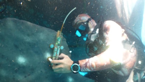 Hiu paus di perairan Teluk Saleh, Torano, Sumbawa, Nusa Tenggara Barat (NTB). Populasinya tercatat sebanyak 110 ekor spesies yang didominasi oleh hiu paus muda berukuran 1,5-5 meter. (Dok.Konservasi Indonesia/Iqbal Herwata)