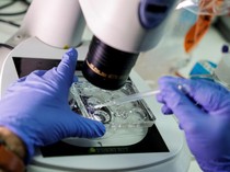 MA Alabama Putuskan Embrio Beku Dianggap Anak