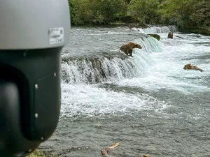 Kamera Pengintai di Hutan Jangan Dirusak Ya, Pendaki Ini Ditolong Olehnya