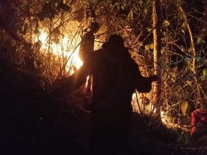 7 Hektare Hutan Jabalakat Klaten Terbakar, Ancam Makam Sunan Pandanaran