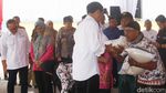 Momen Jokowi Bagikan Bansos Beras 10 Kg