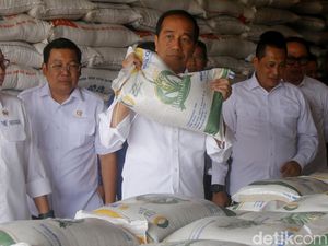 Bawaslu Sebut Jokowi Tak Langgar Netralitas Bagikan Bansos