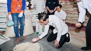 Momen Jokowi Berlutut Cek Beras di Gudang Bulog Bogor