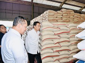 Harga Beras Belum Turun, Ini Perintah Jokowi ke Buwas