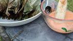 Nyam! 20 Otak-otak Bakar yang Gurih Empuk Ada di Sini