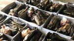 Nyam! 20 Otak-otak Bakar yang Gurih Empuk Ada di Sini