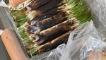 Nyam! 20 Otak-otak Bakar yang Gurih Empuk Ada di Sini