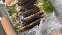 Di tempat makan yang nyaman ini ada otak-otak enak dengan harga mulai dari Rp 12.000n. Untuk mencicipi otak-otak dan bumbunya yang nikmat bisa menyambangi Otak-otak Cempaka di Jalan Cempaka No.8B, Sawah Besar, Jakarta Pusat. Foto: Instagram/Istimewa/iStock