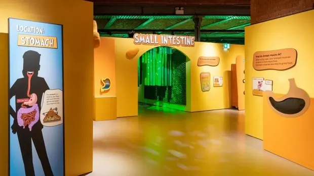 Pameran pencernaan manusia di The Science and Industry Museum Manchester