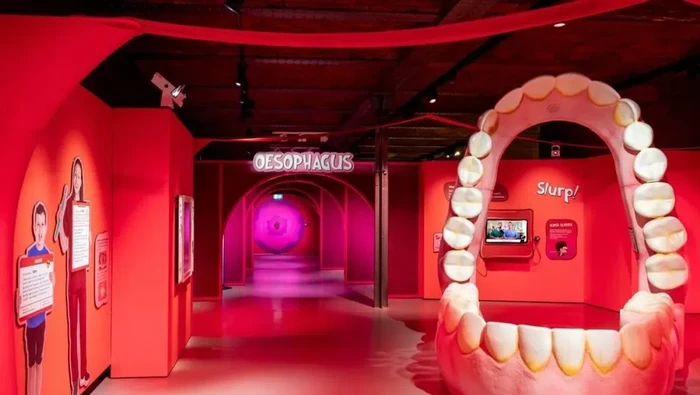 Pameran pencernaan manusia di The Science and Industry Museum Manchester