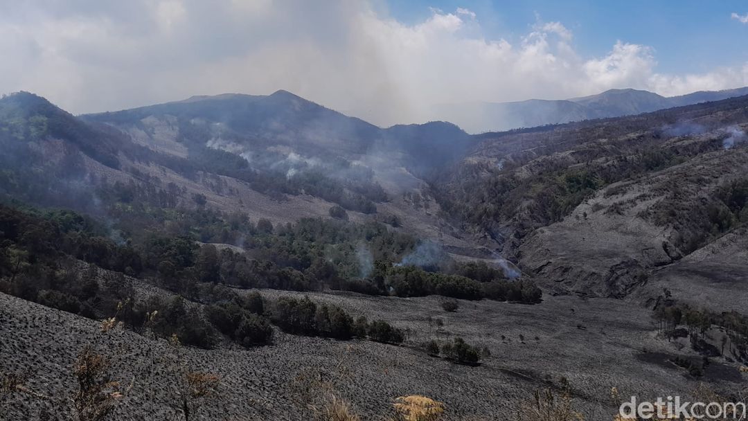 Penampakan Bukit Jemplang Bromo sebelum dan sesudah terbakar
