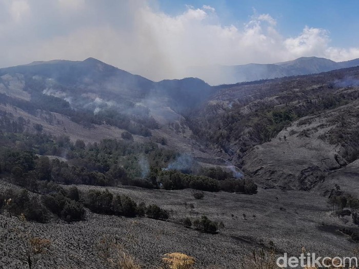Penampakan Bukit Jemplang Bromo sebelum dan sesudah terbakar