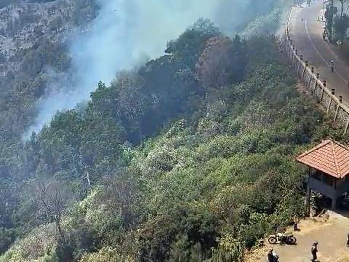 Penampakan dahsyatnya asap membubung tinggi di kawasan Jemplang Malang imbas kebakaran Bromo