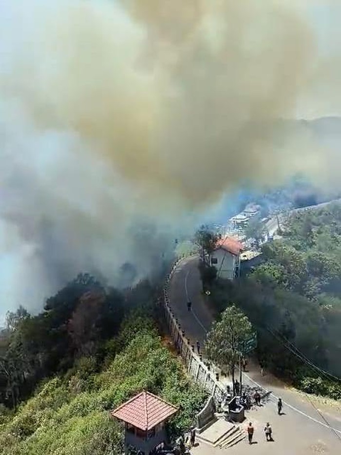 Penampakan dahsyatnya asap membubung tinggi di kawasan Jemplang Malang imbas kebakaran Bromo