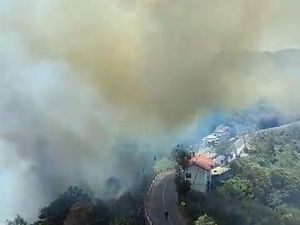 Penampakan Dahsyatnya Kebakaran Bromo, Kepulan Asap Sampai Kabupaten Malang