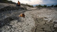 Pertambangan pasir rakyat itu terpaksa terhenti sementara karena tidak ada air yang mengalir akibat kekeringan.  