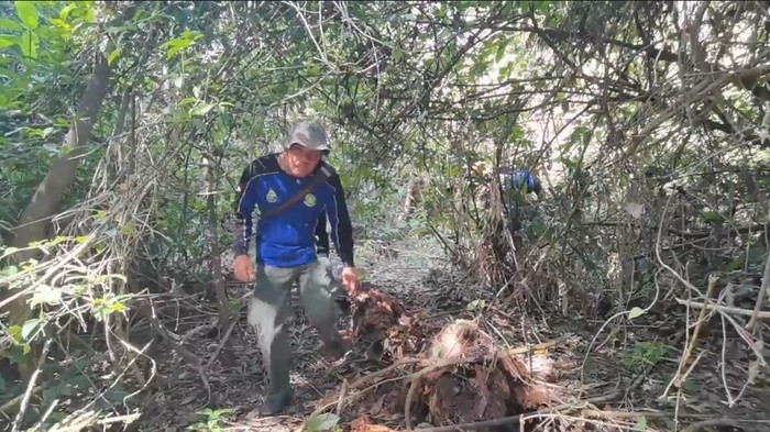 Petugas Balai Taman Nasional Alas Purwo sedang patroli