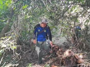 Bromo Kebakaran, Taman Nasional Alas Purwo Banyuwangi Waspada