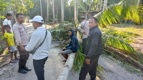 Pohon kelapa di Kupang, NTT, tumbang dan menewaskan seorang pelajar.