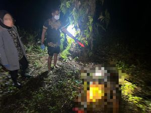 4 Hari Hilang, Pria Asal Jakarta Ditemukan Tewas Membusuk di Kebun Sawit
